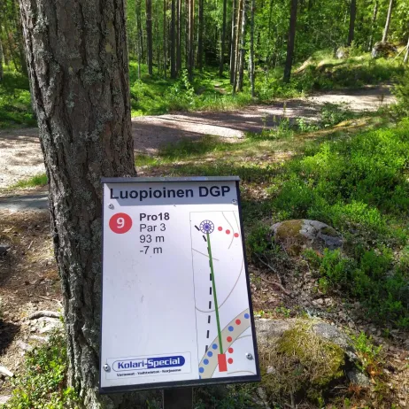 Kolari-Specialin kummiväylä 9 Luopioisten frisbeegolfradalla
